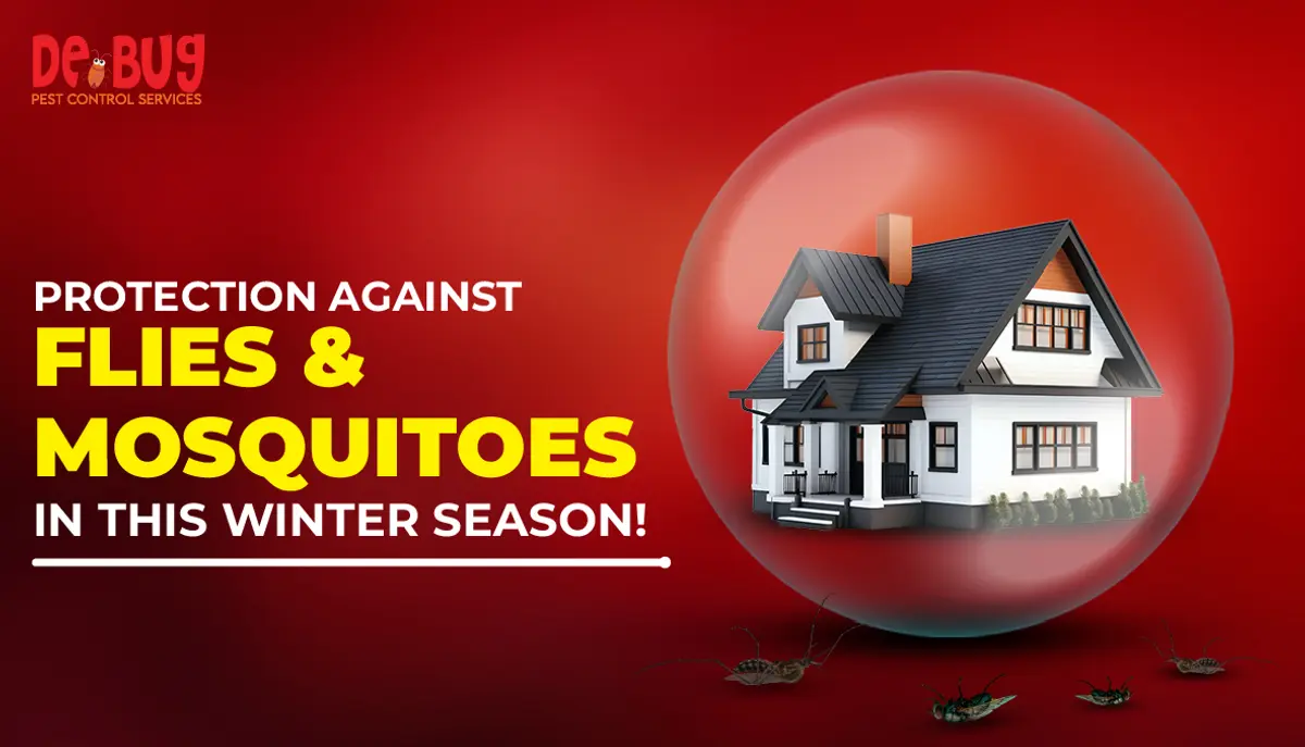 Complete protection against flies and mosquitoes in this winter season!