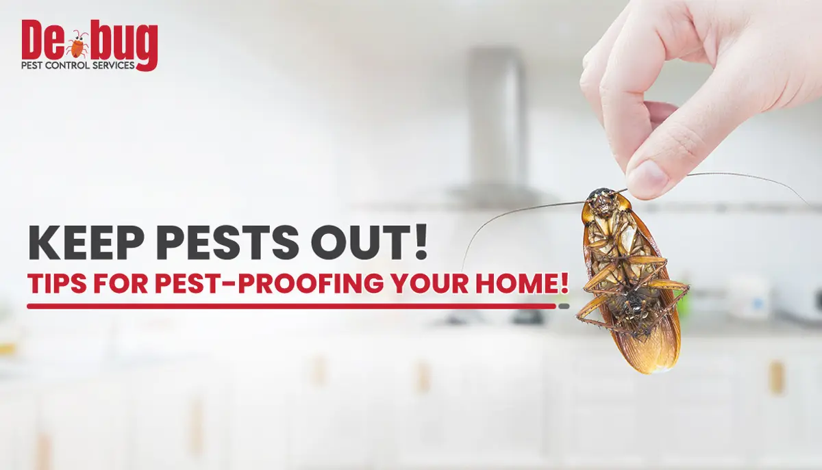 Keep pests out! Tips for pest-proofing your home!