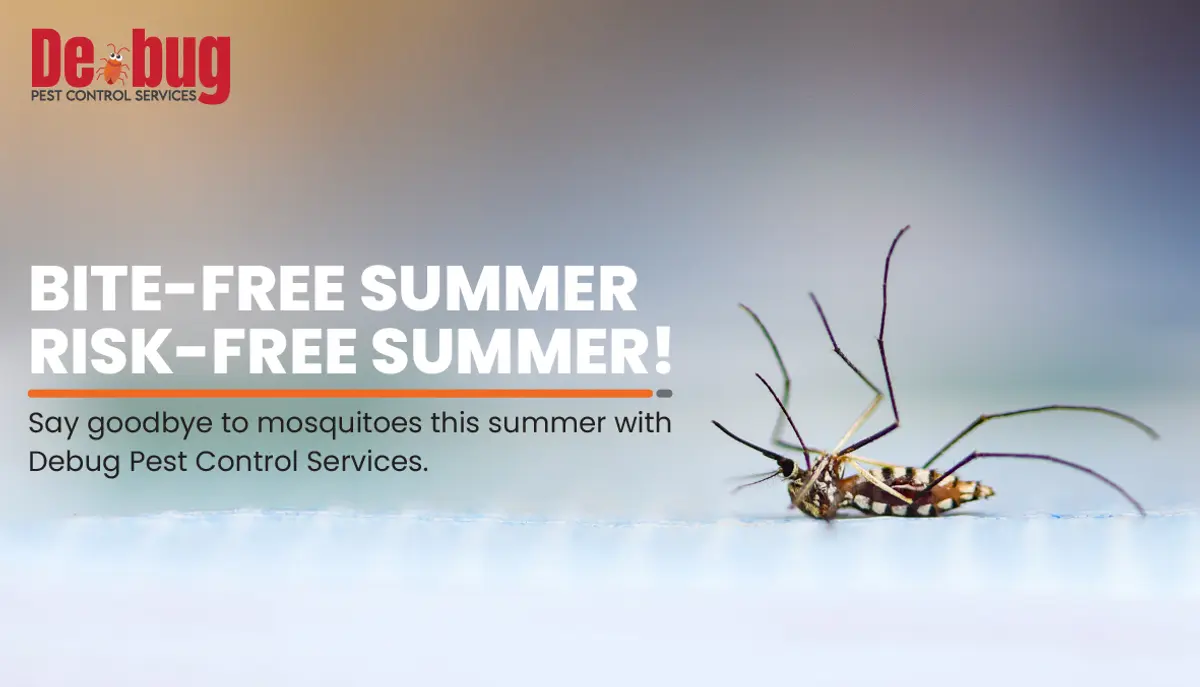 Mosquito control services by Debug Pest Control