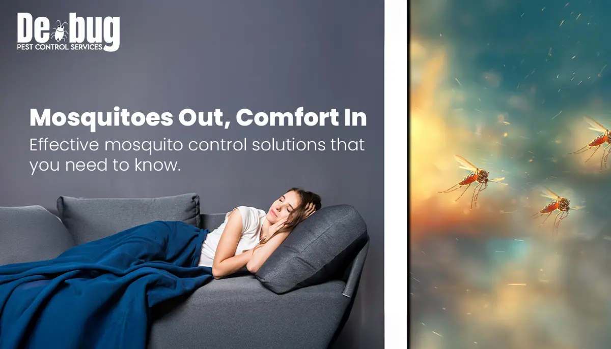Mosquitoes out, comfort in: Effective mosquito control solutions that you need to know.
