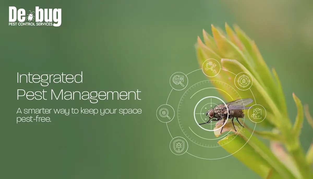 Integrated Pest Management: A smarter way to keep your space pest-free.