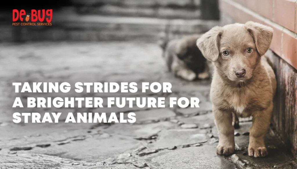 Stray animal welfare and humane confiscation services in UAE