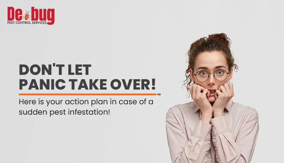 Caught off-guard by a sudden infestation? Don't let panic take over! Here is your action plan in case of a sudden pest infestation!