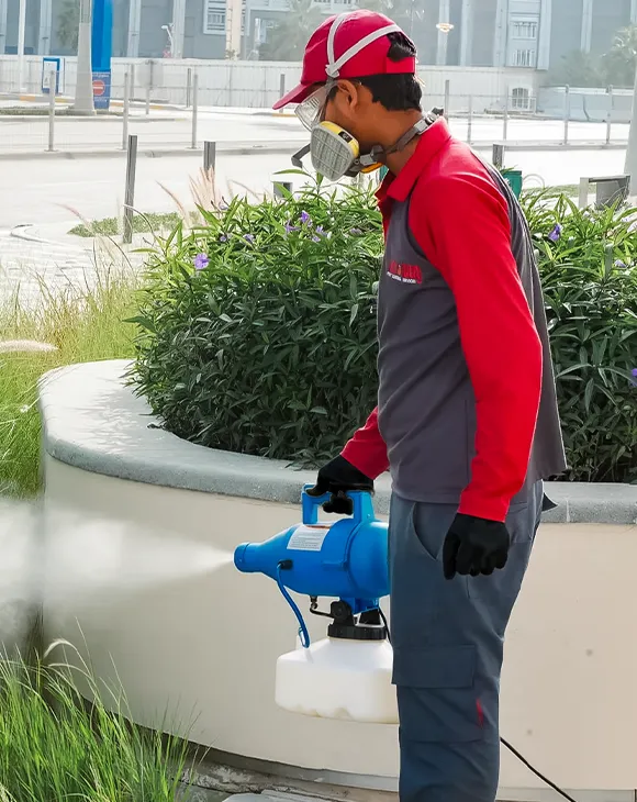 Professional commercial pest control service in UAE by Debug