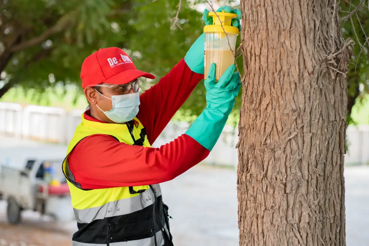 Smart Mosquito Traps