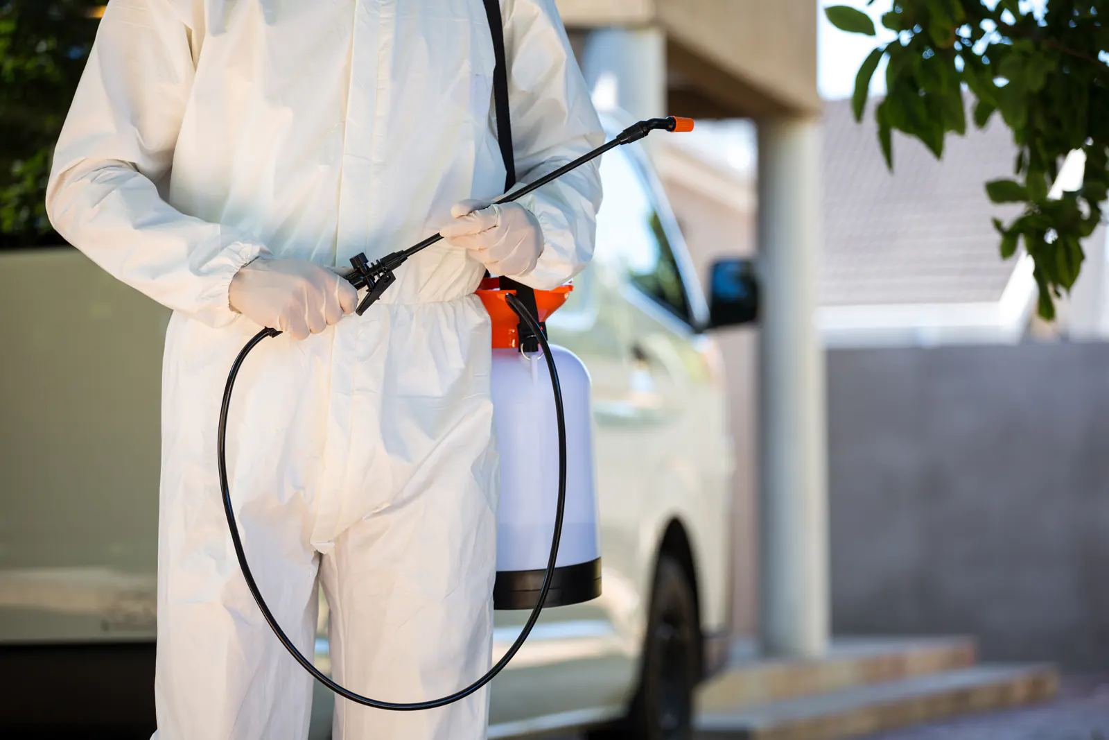 Debug pest control services - Abu Dhabi, Dubai, and Sharjah