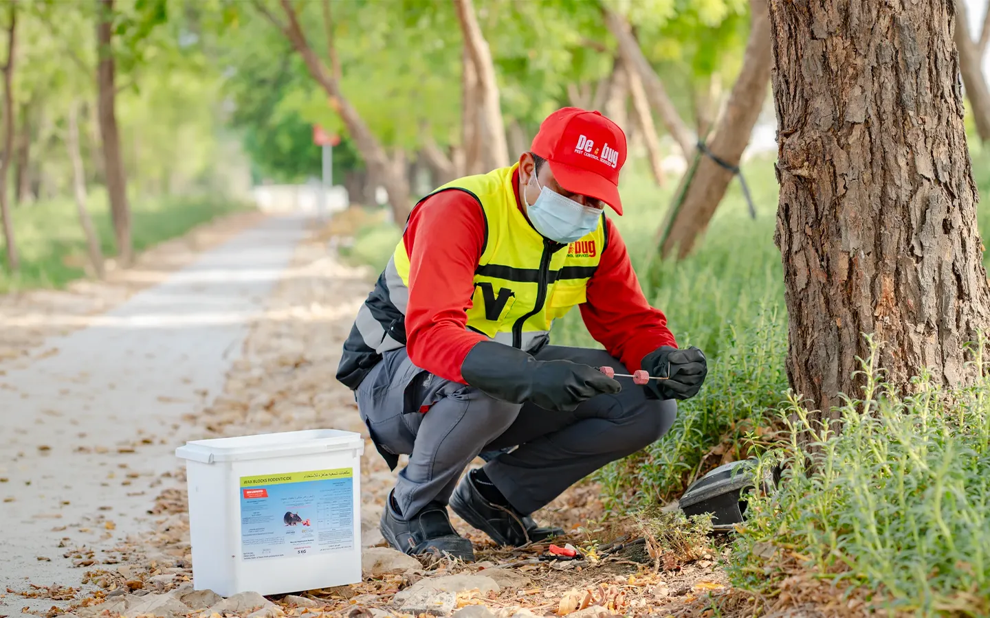 Rodent Control