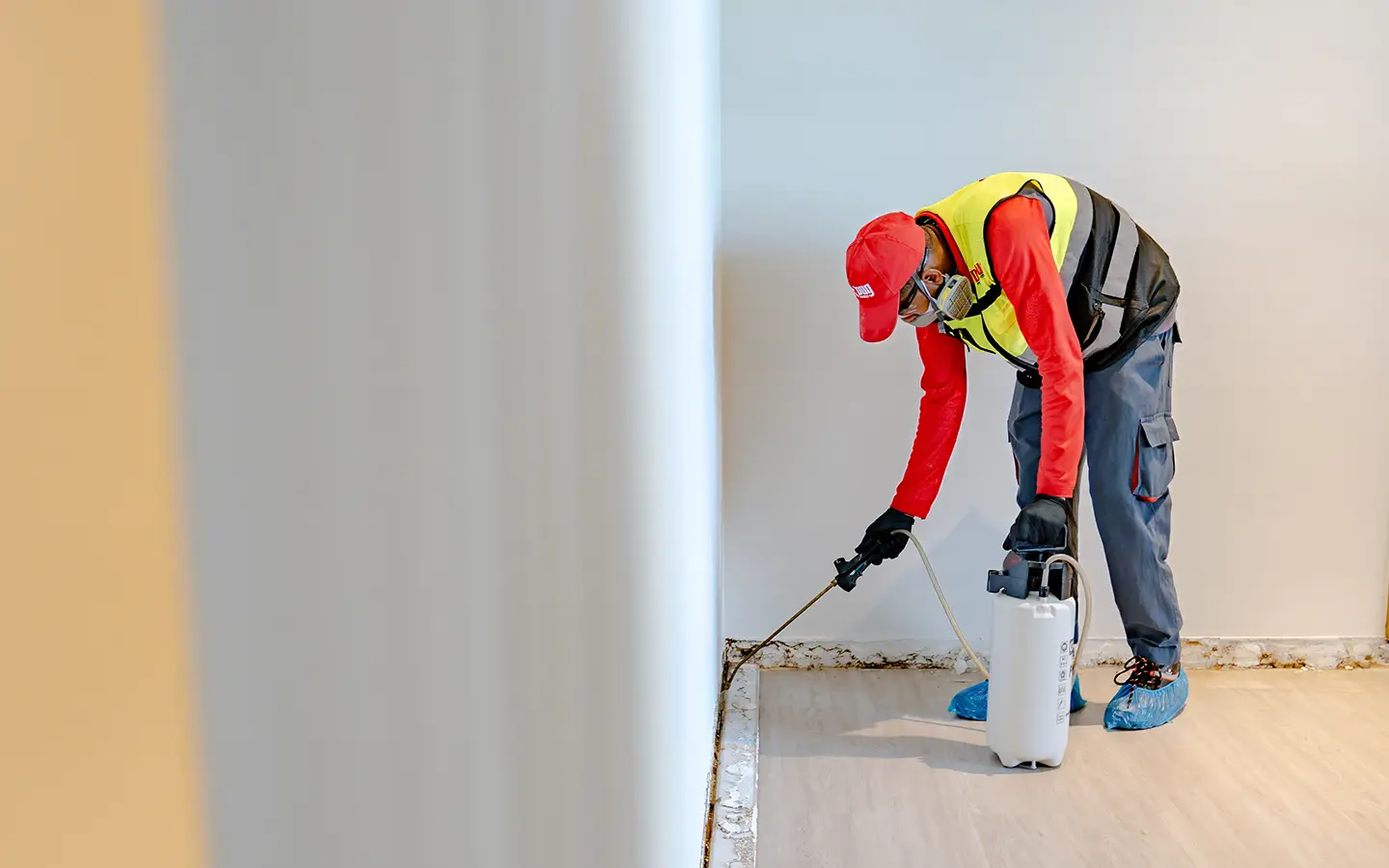 Termite Control