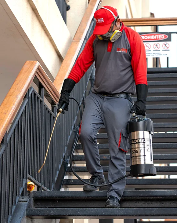 Professional industrial pest control service in UAE by Debug