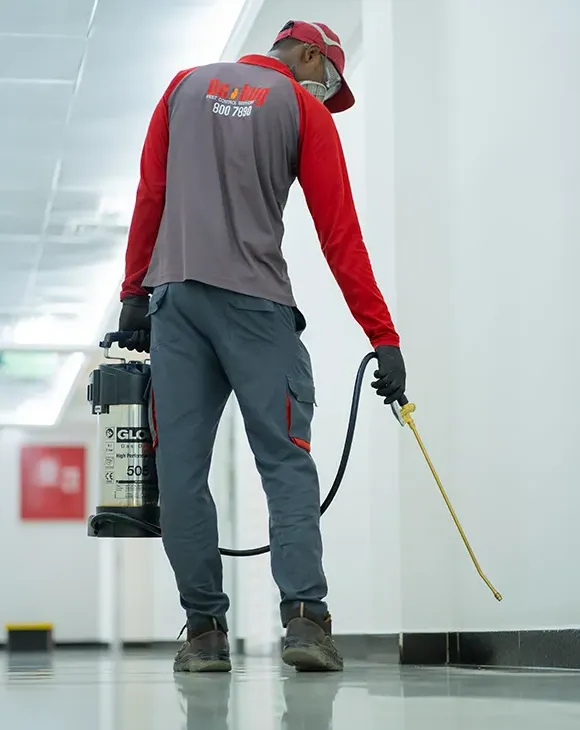 Professional pest management consultancy service in UAE by Debug