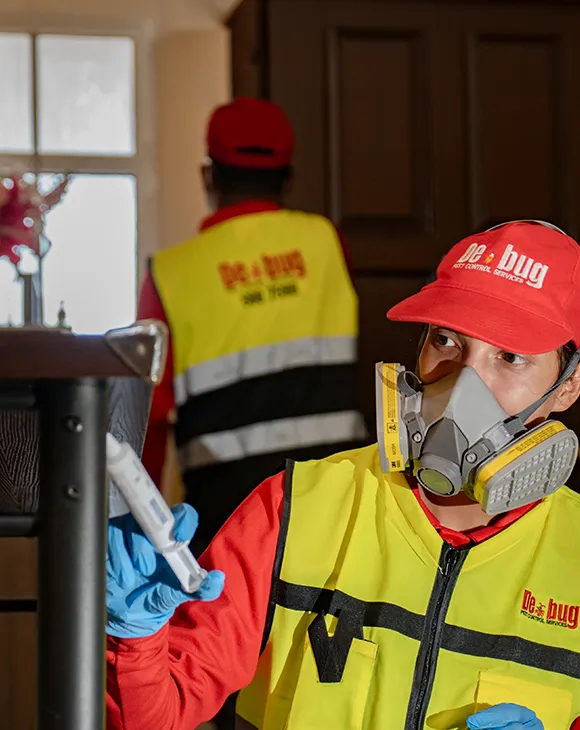 Professional residential pest control service in UAE by Debug