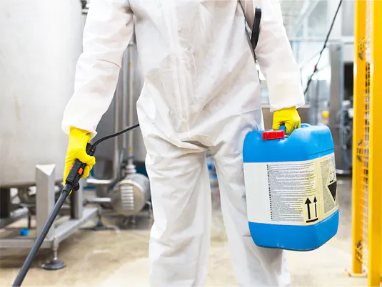 Pest Control Services for Chemical Industry